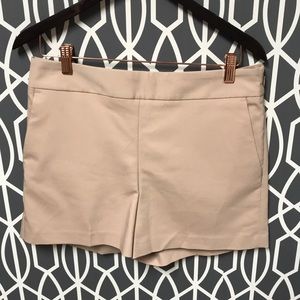 EXPRESS High Waisted Pink Shorts